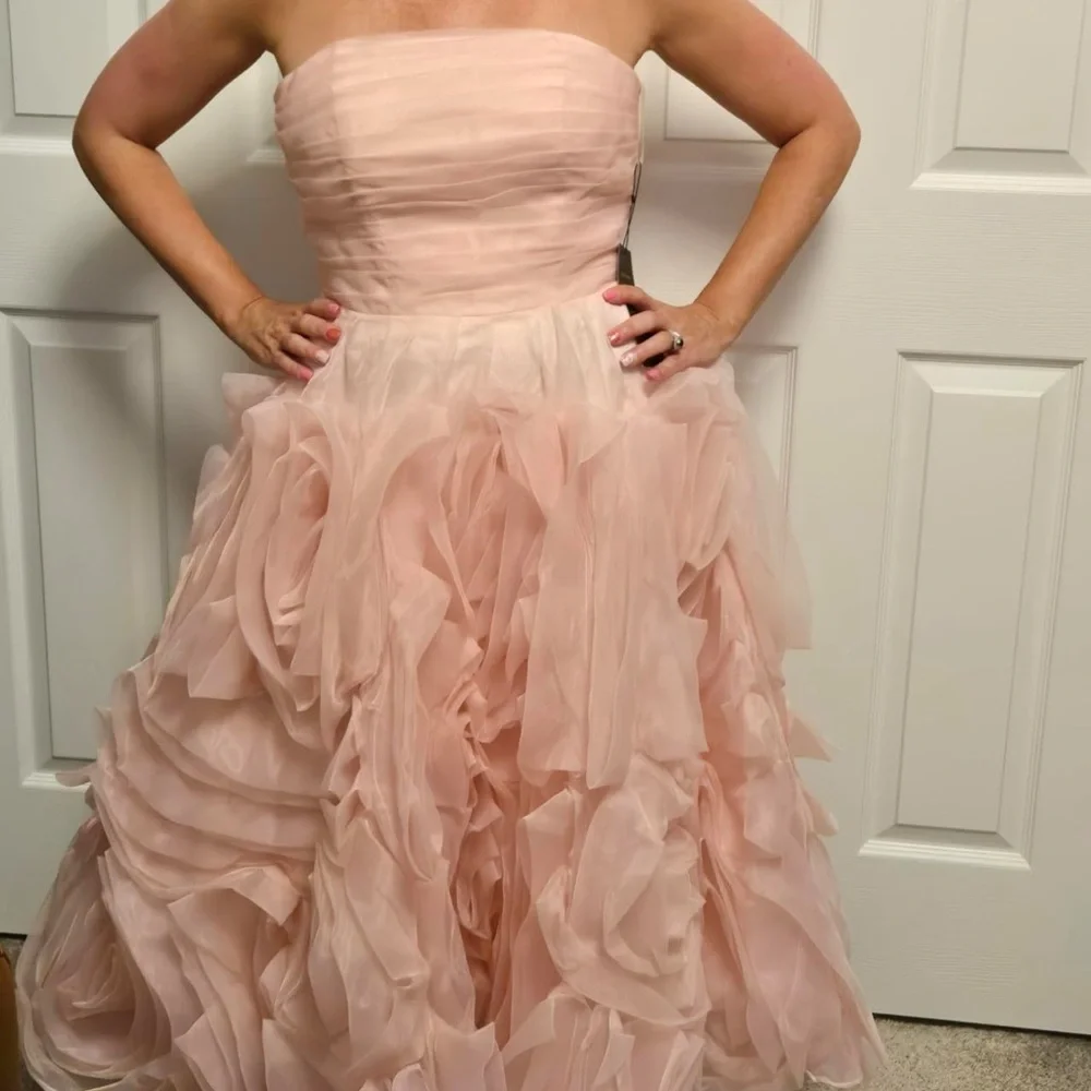 Blush Strapless Stunning Dress | Size 4 - Picture 2 of 3
